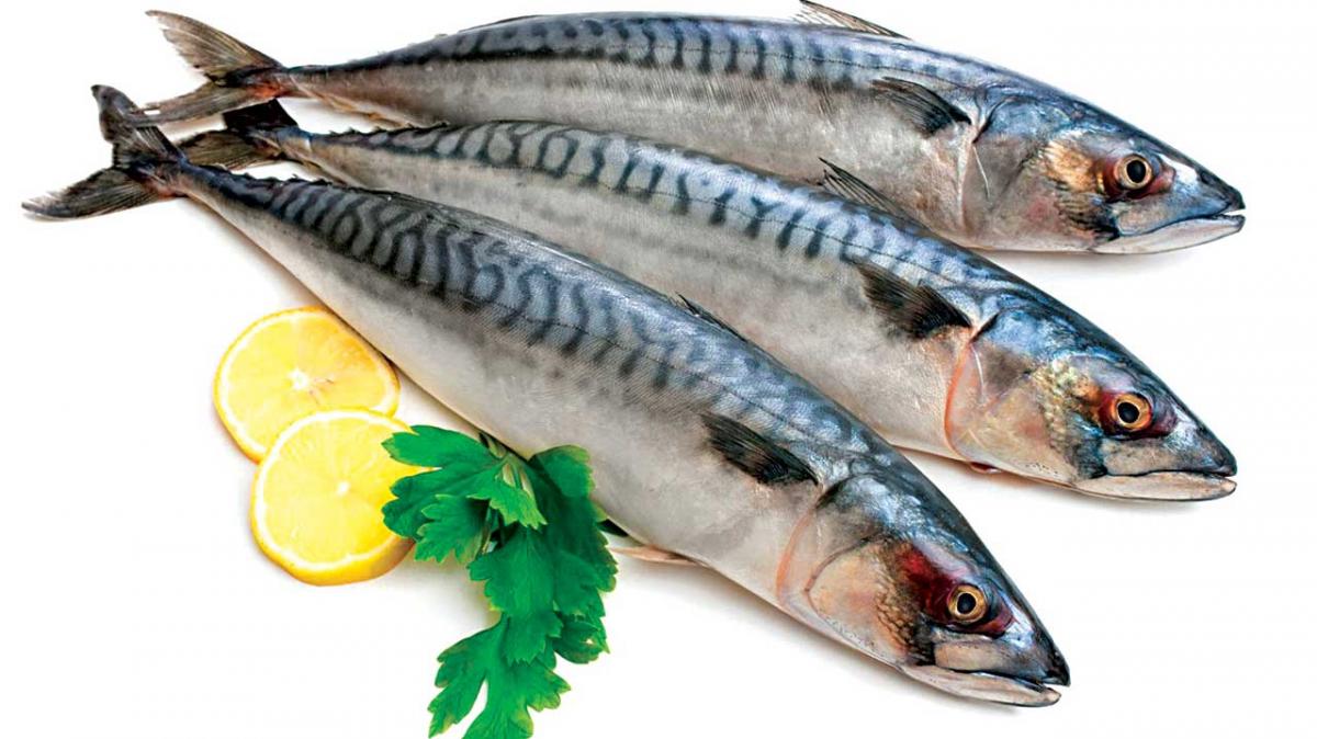 oily-fishes.jpg